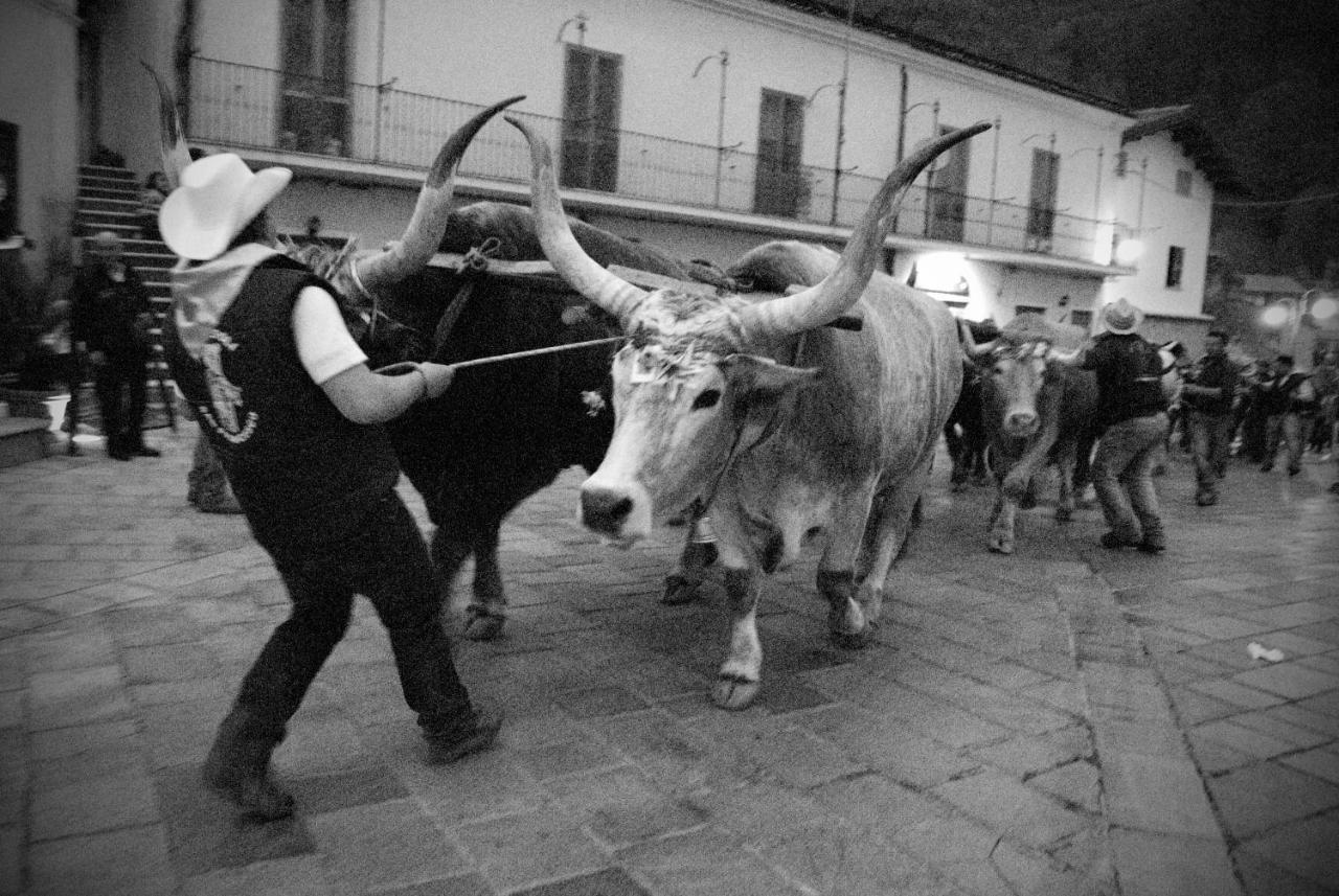 Tana Libera Tutti 1 Nature, Yourself, Love Viggianello Εξωτερικό φωτογραφία